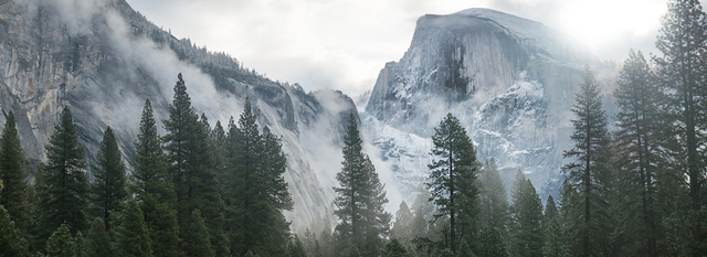 Courtyard by Marriott Program