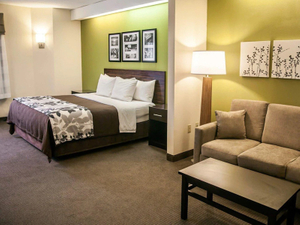 Sleep Inn & Suites Commercial Wholesal Hotel Bedroom Furniture