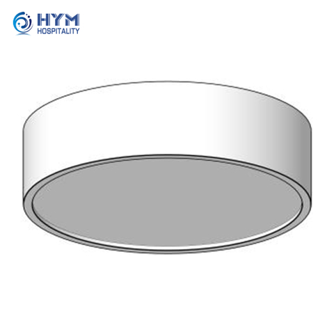 PA-251 Corridor Flush Mount Fixture at ACT Ceiling Hampton by Hilton Public
