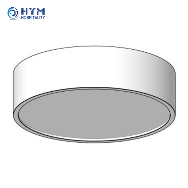 PA-251 Corridor Flush Mount Fixture at ACT Ceiling Hampton by Hilton Public