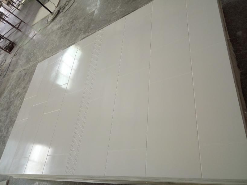 12"*24" with Belt Line Shower Panel Wide