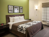 Sleep Inn & Suites Wood Decorative Hotel Bedroom Furniture