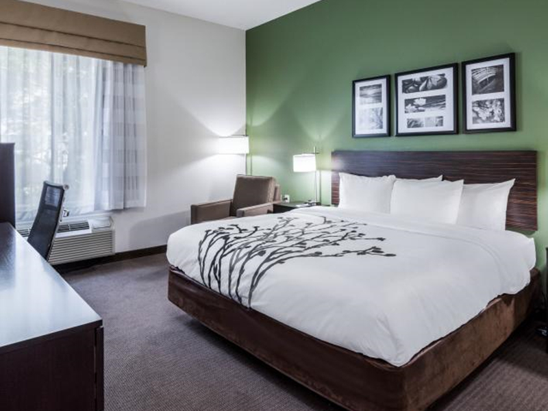 Sleep Inn & Suites Wood Decorative Hotel Bedroom Furniture