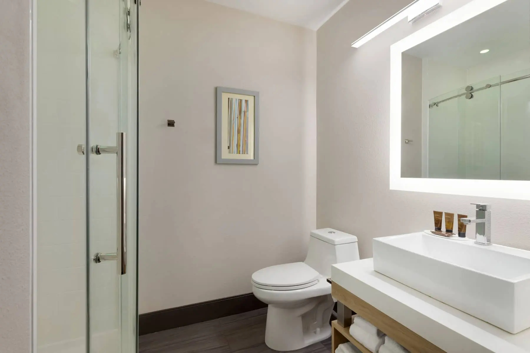 Wingate by Wyndham Bathroom