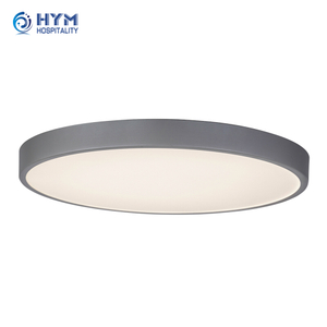 EXG2-405 Ceiling Mounted Light Fixture Holiday Inn Express