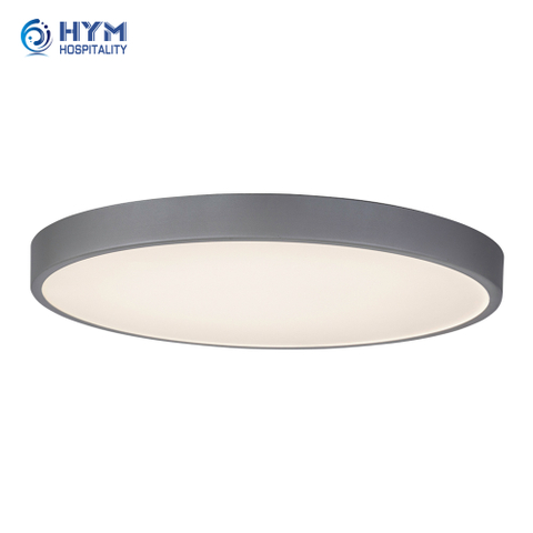 EXG2-405 Ceiling Mounted Light Fixture Holiday Inn Express